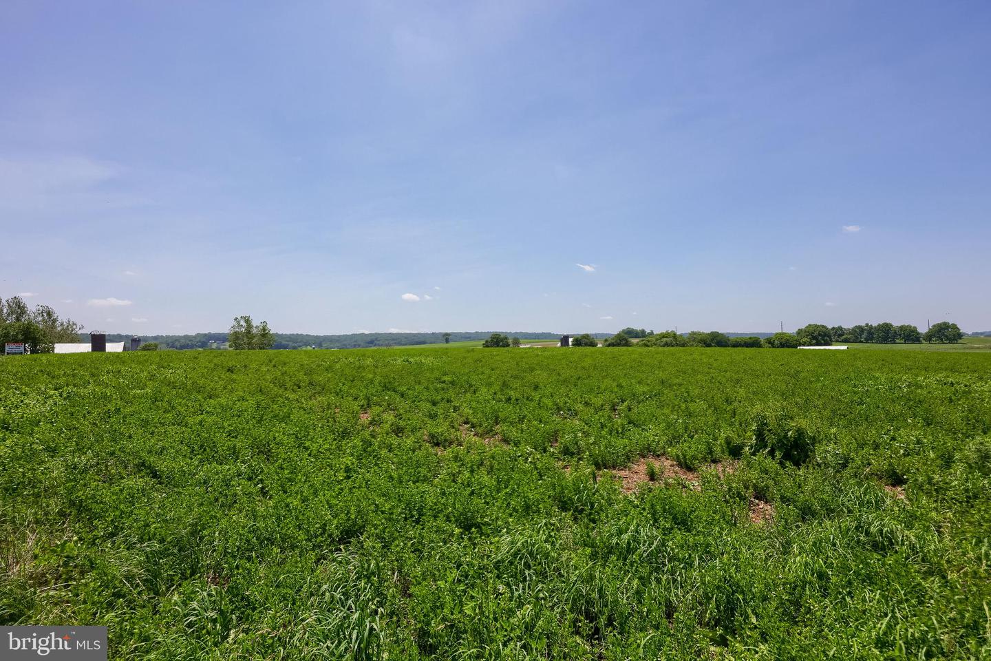 35 Kinzer Property Photo 19