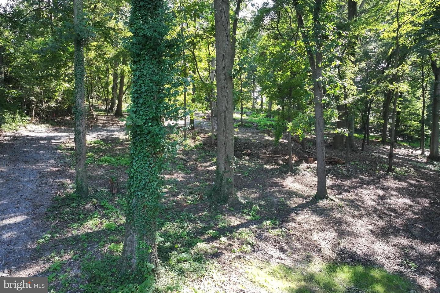 240 Northview Dr Property Photo 3