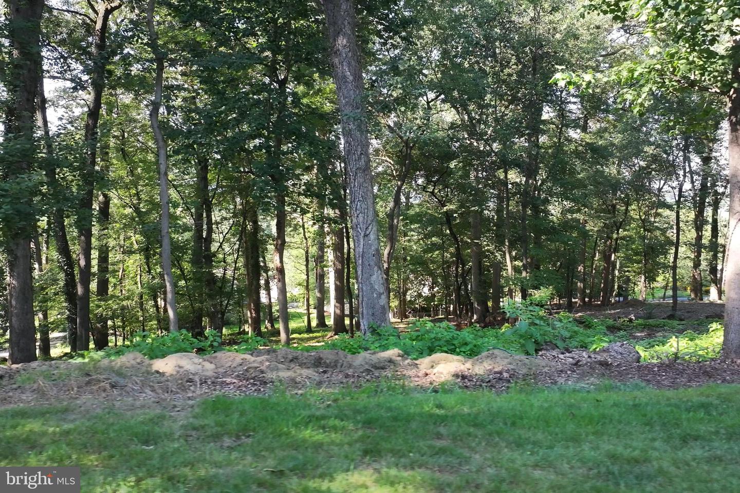 240 Northview Dr Property Photo 8
