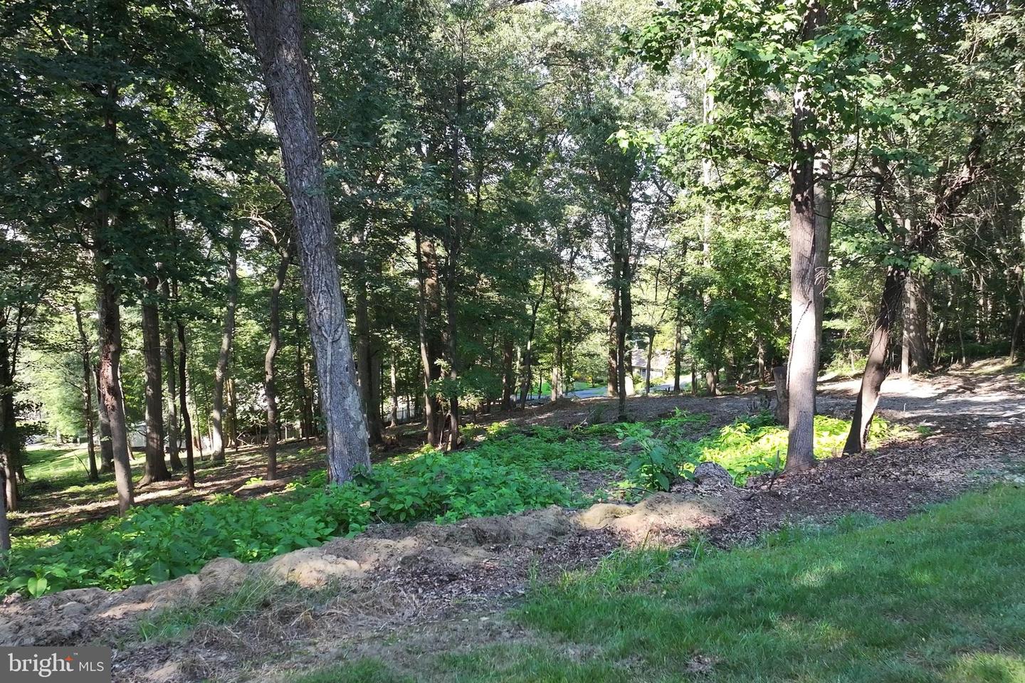 240 Northview Dr Property Photo 9