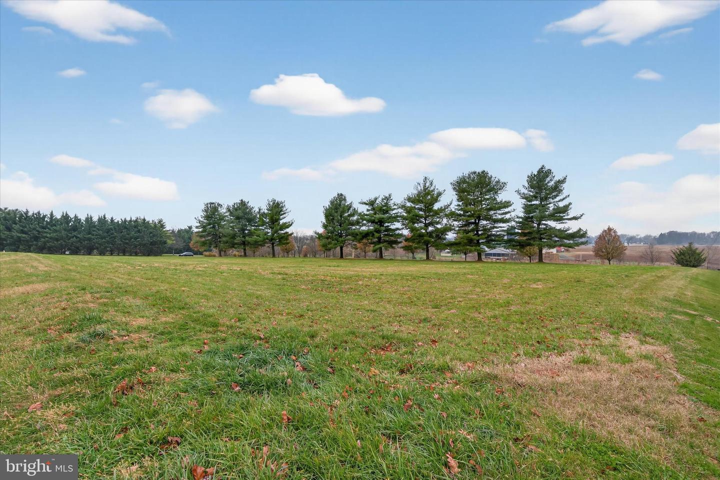 #48 Meadowbreeze Ln Property Photo 12