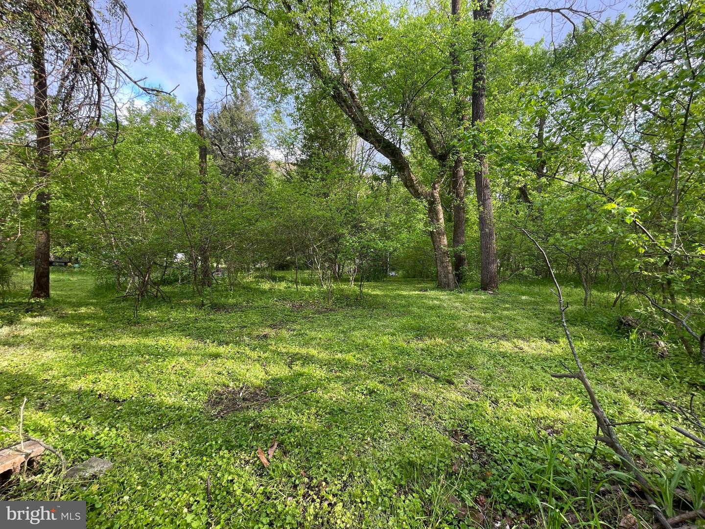 0 River Rd Property Photo 2