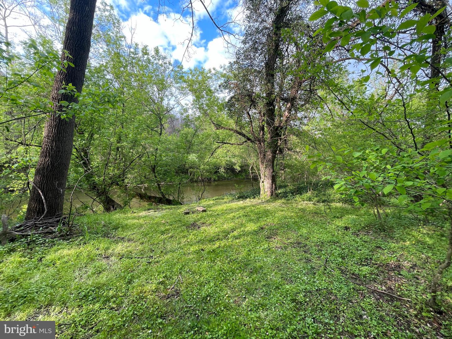 0 River Rd Property Photo 3
