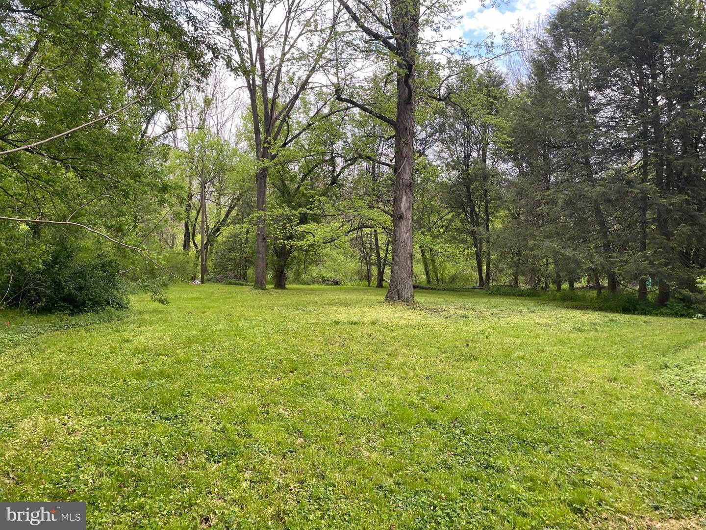 0 River Rd Property Photo 4