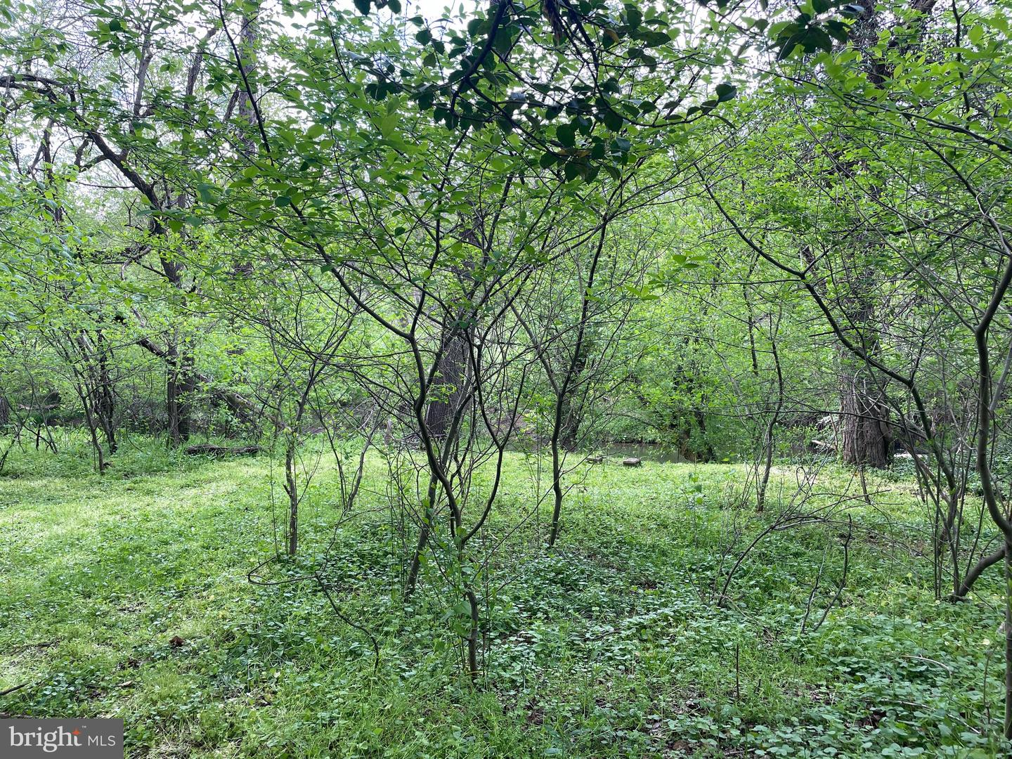 0 River Rd Property Photo 6