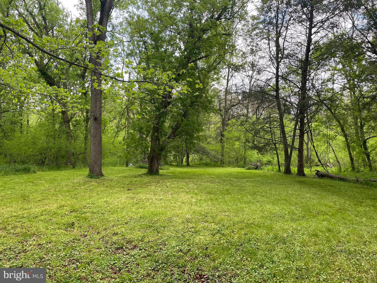 0 River Rd Property Photo 8