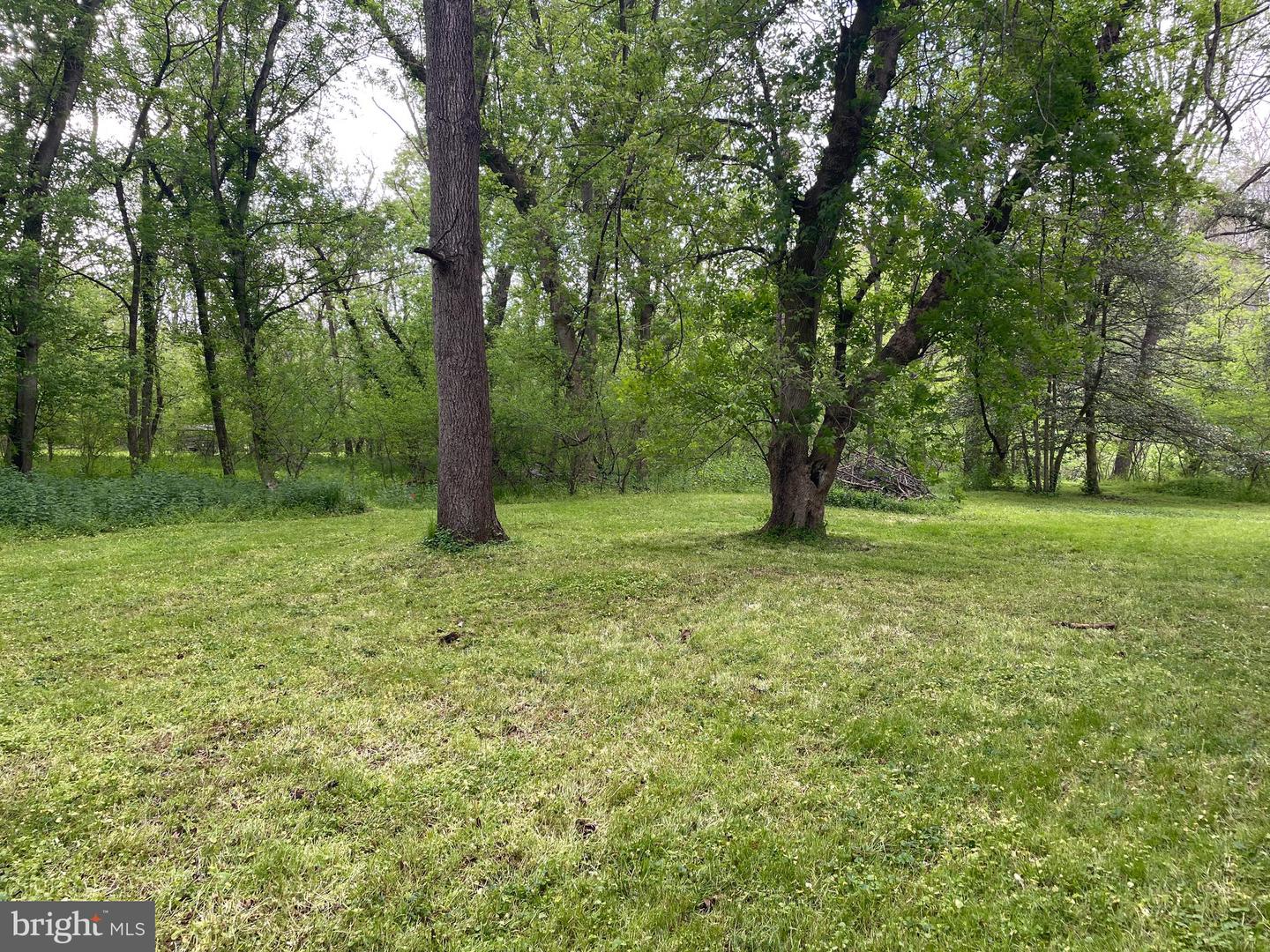 0 River Rd Property Photo 10