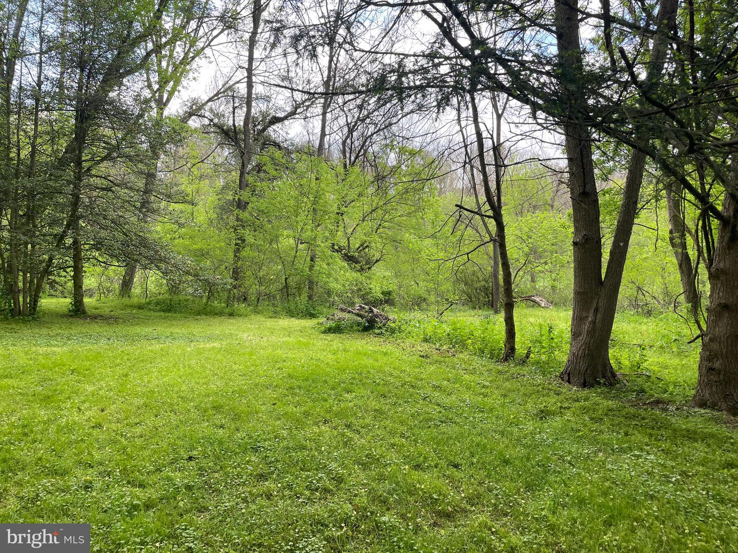 0 River Rd Property Photo 11