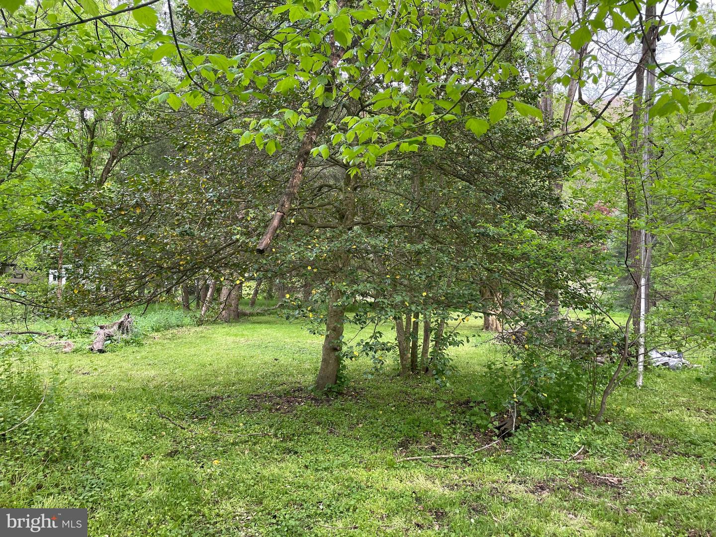 0 River Rd Property Photo 12