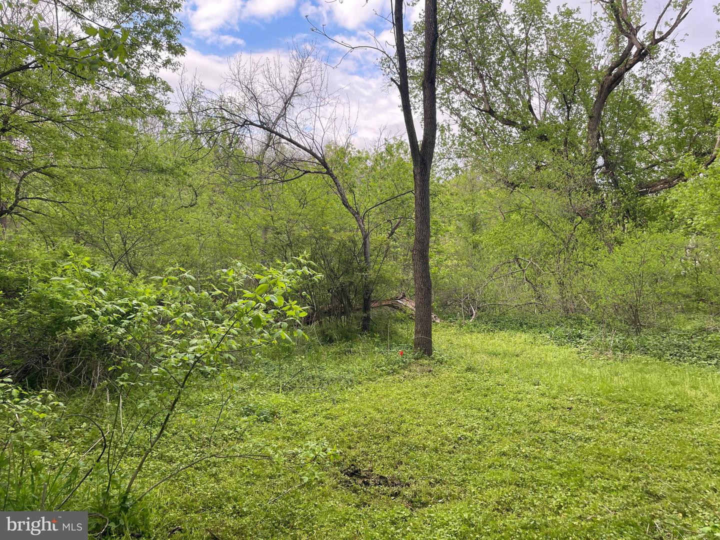 0 River Rd Property Photo 14