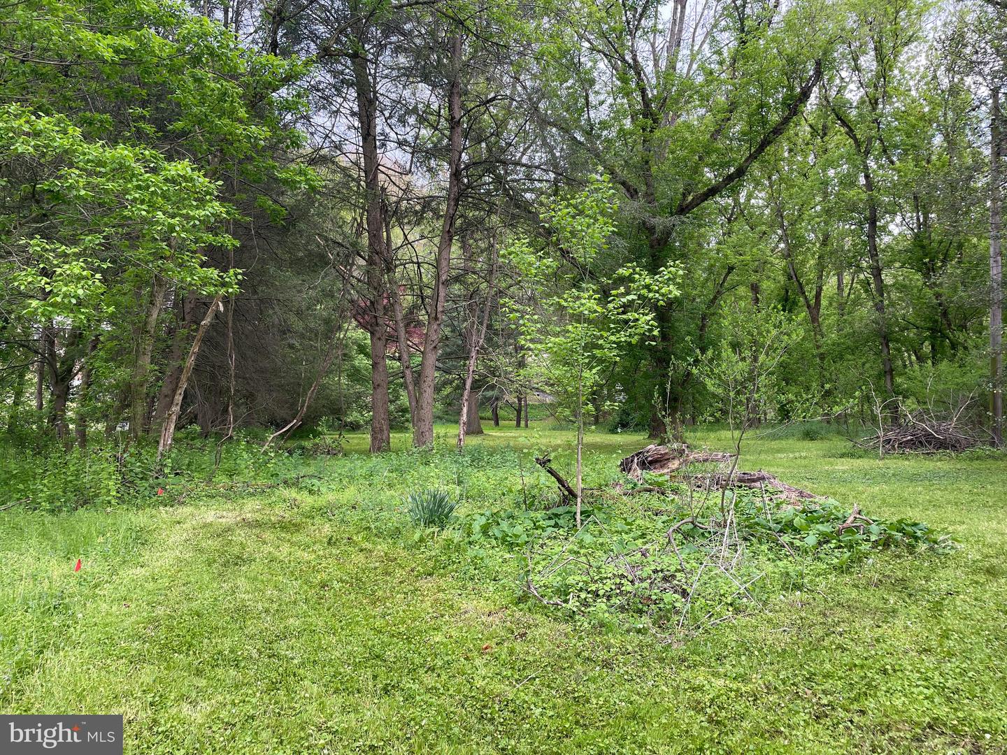 0 River Rd Property Photo 15