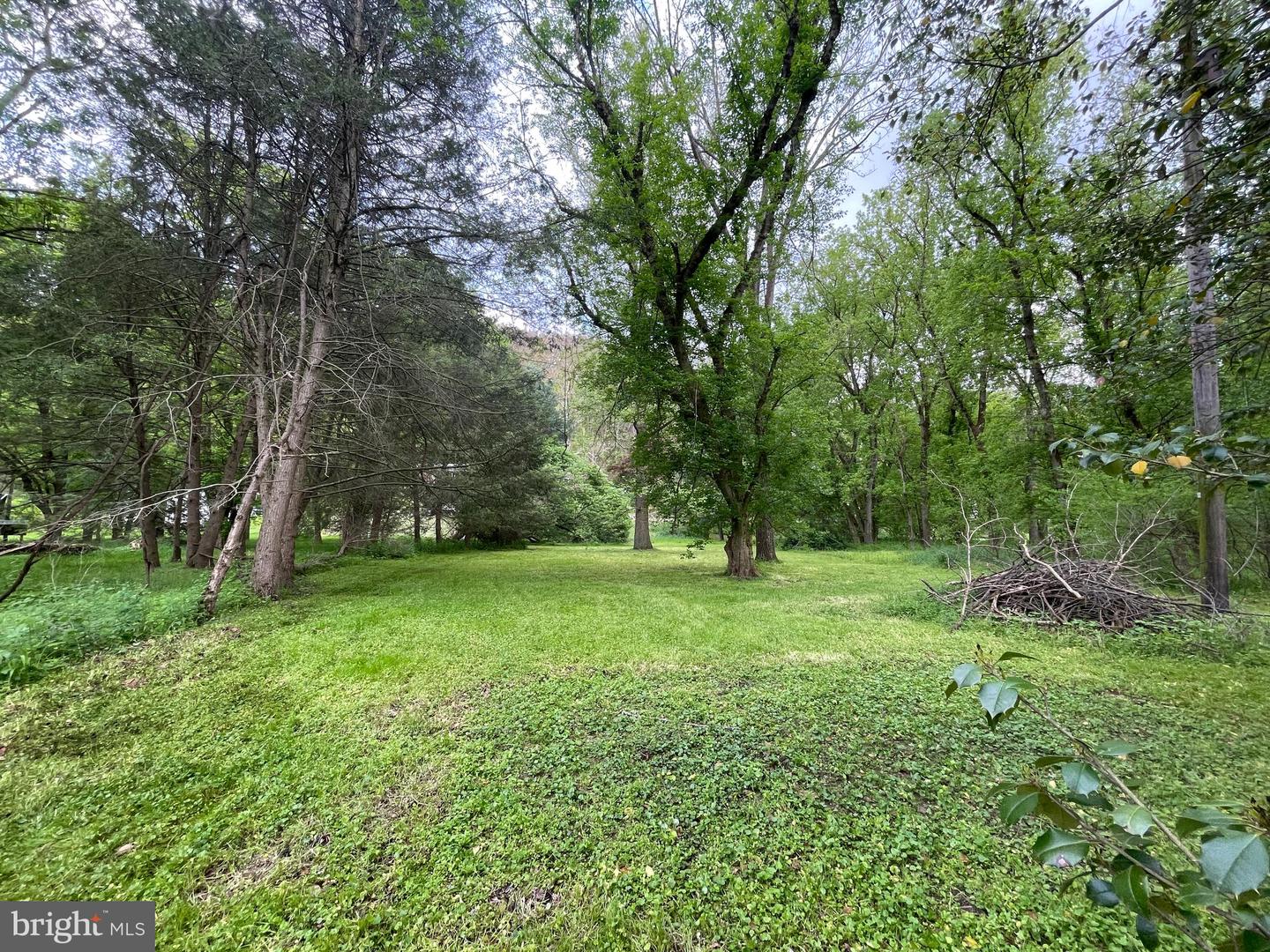 0 River Rd Property Photo 16