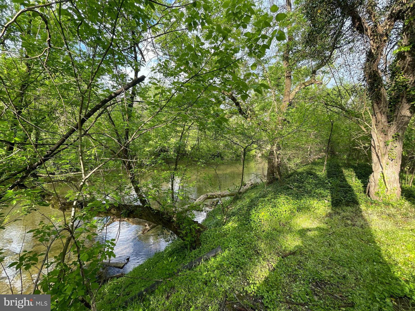 0 River Rd Property Photo 17