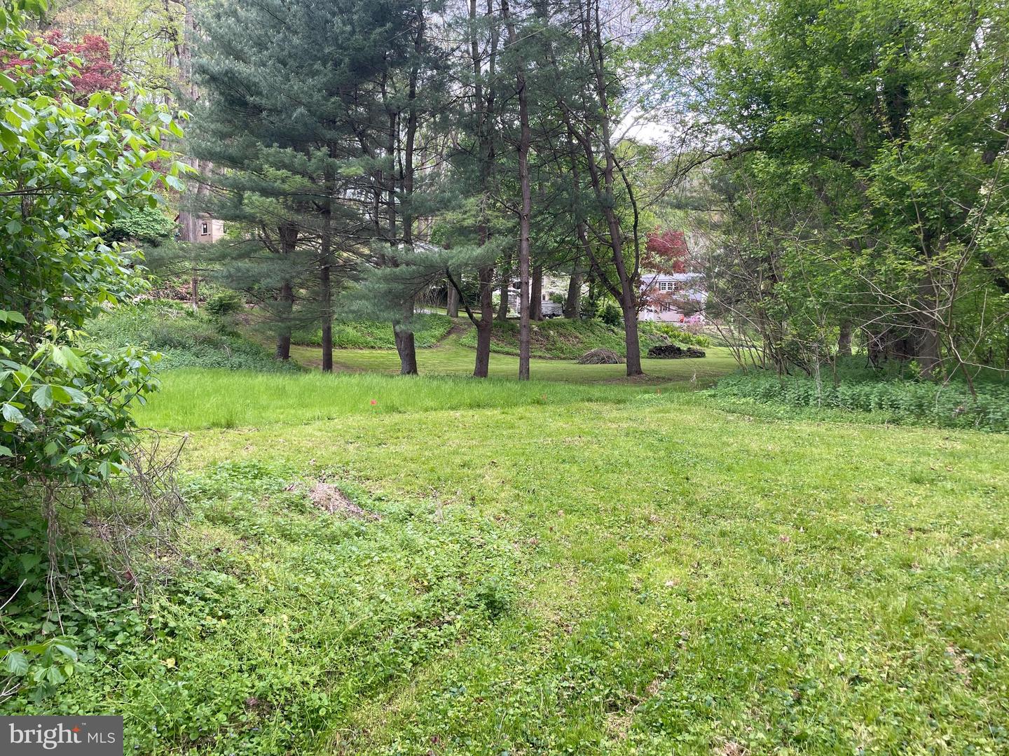 0 River Rd Property Photo 24