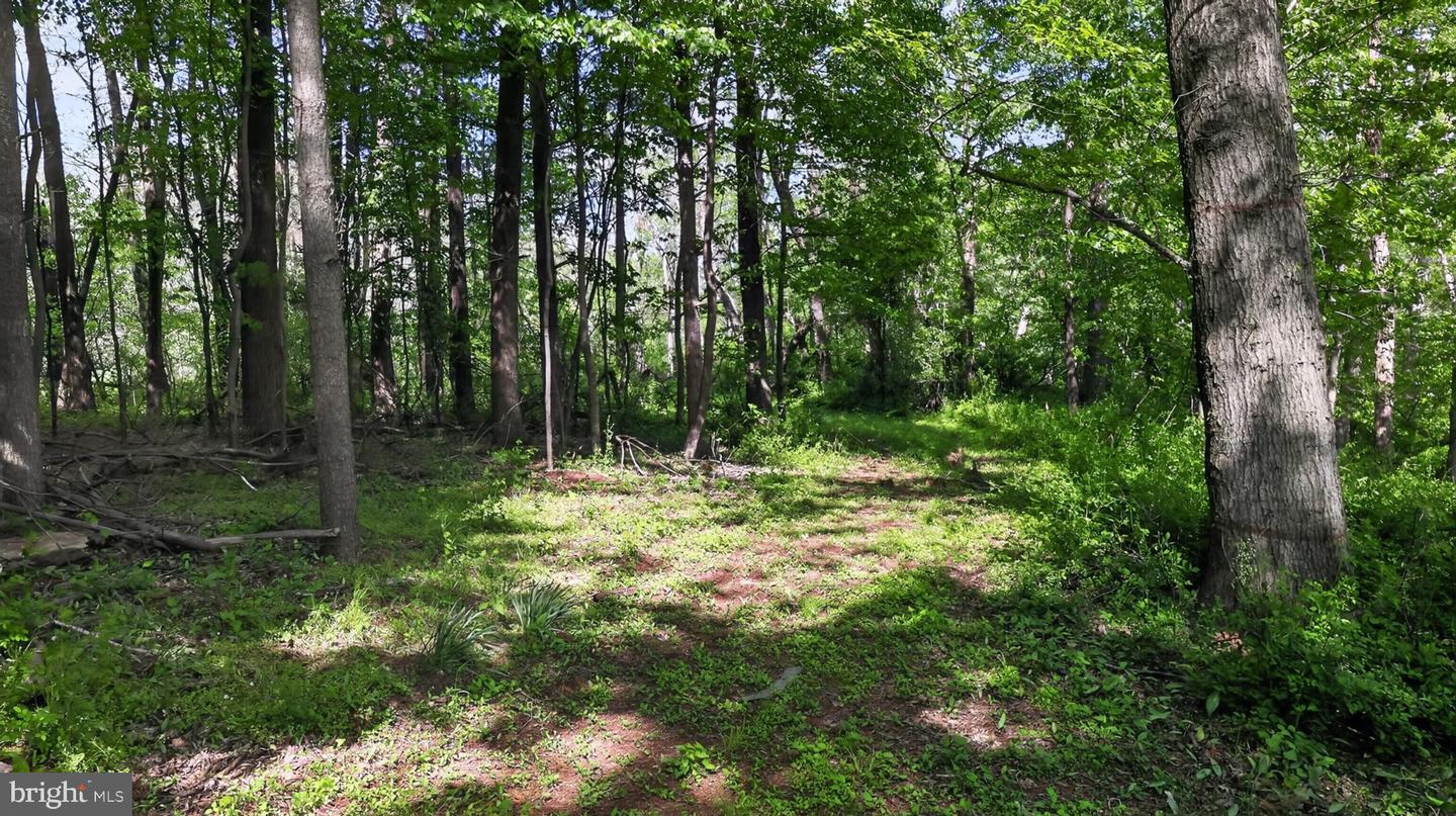 1599 Sanctuary Rd Property Photo 61