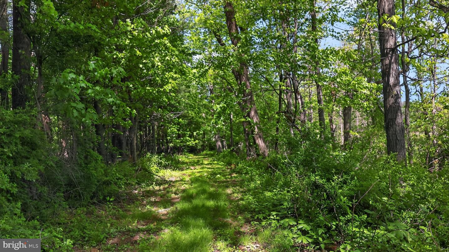 1599 Sanctuary Rd Property Photo 62