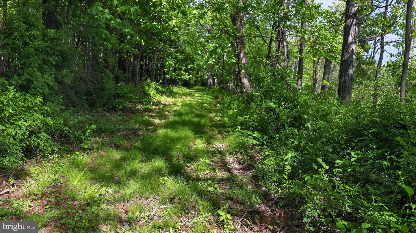 1599 Sanctuary Rd Property Photo 63