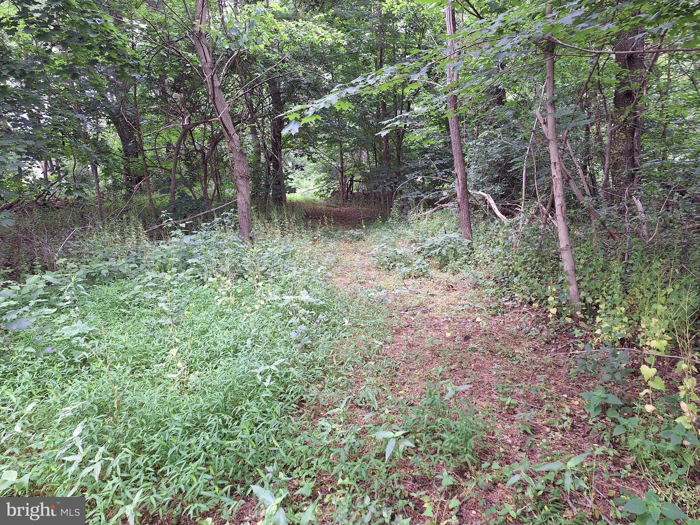 0 Pleasant View Rd Property Photo 6