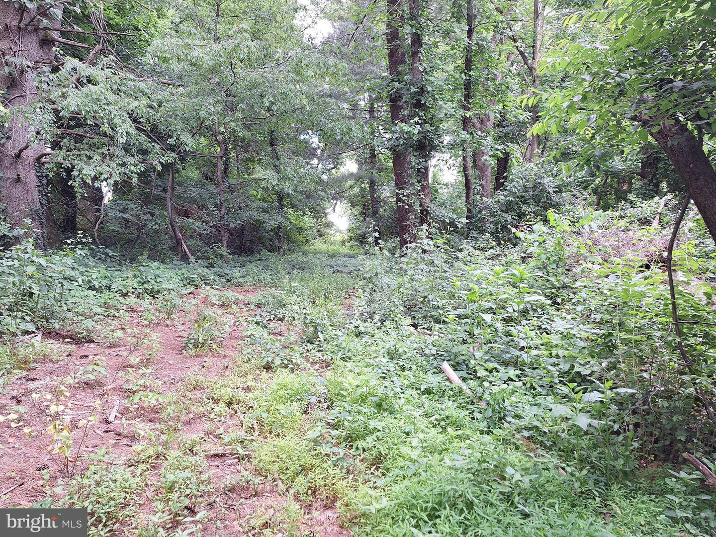0 Pleasant View Rd Property Photo 8