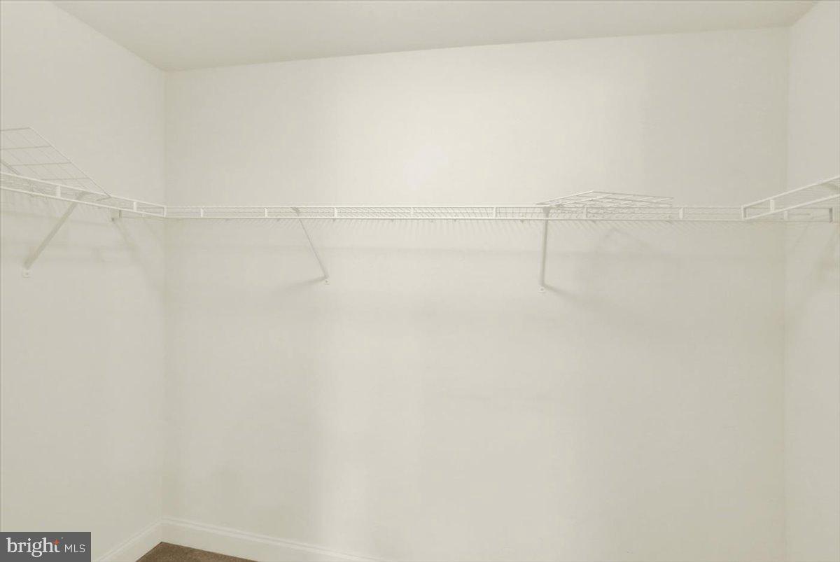 103 Goldenfield Dr Property Photo 16