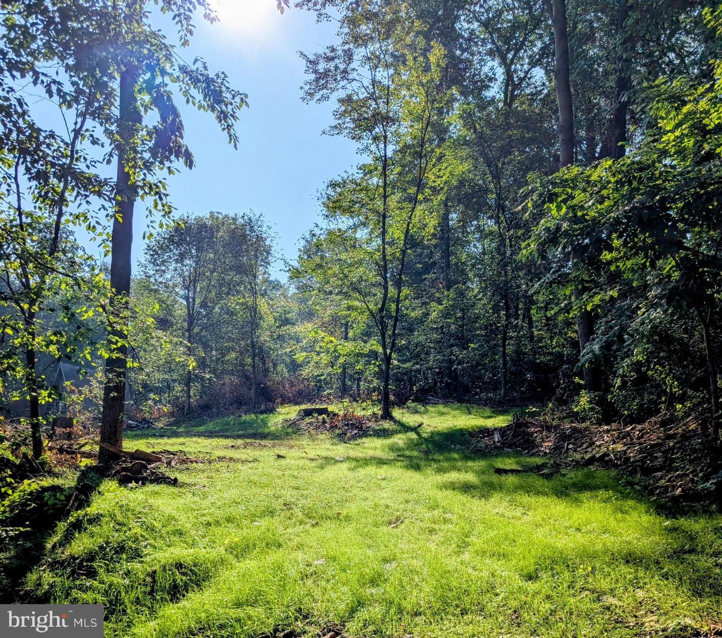 6258 Plank Road Property Photo 1