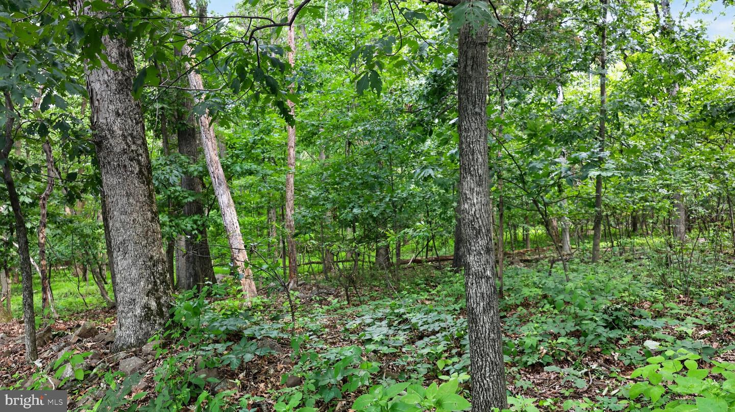 2571 Valley View Rd Property Photo 30