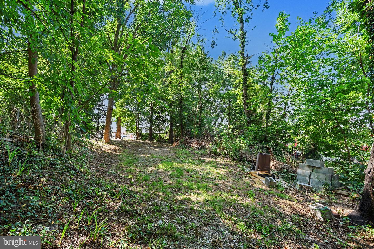 318-320 Linden St Property Photo 41
