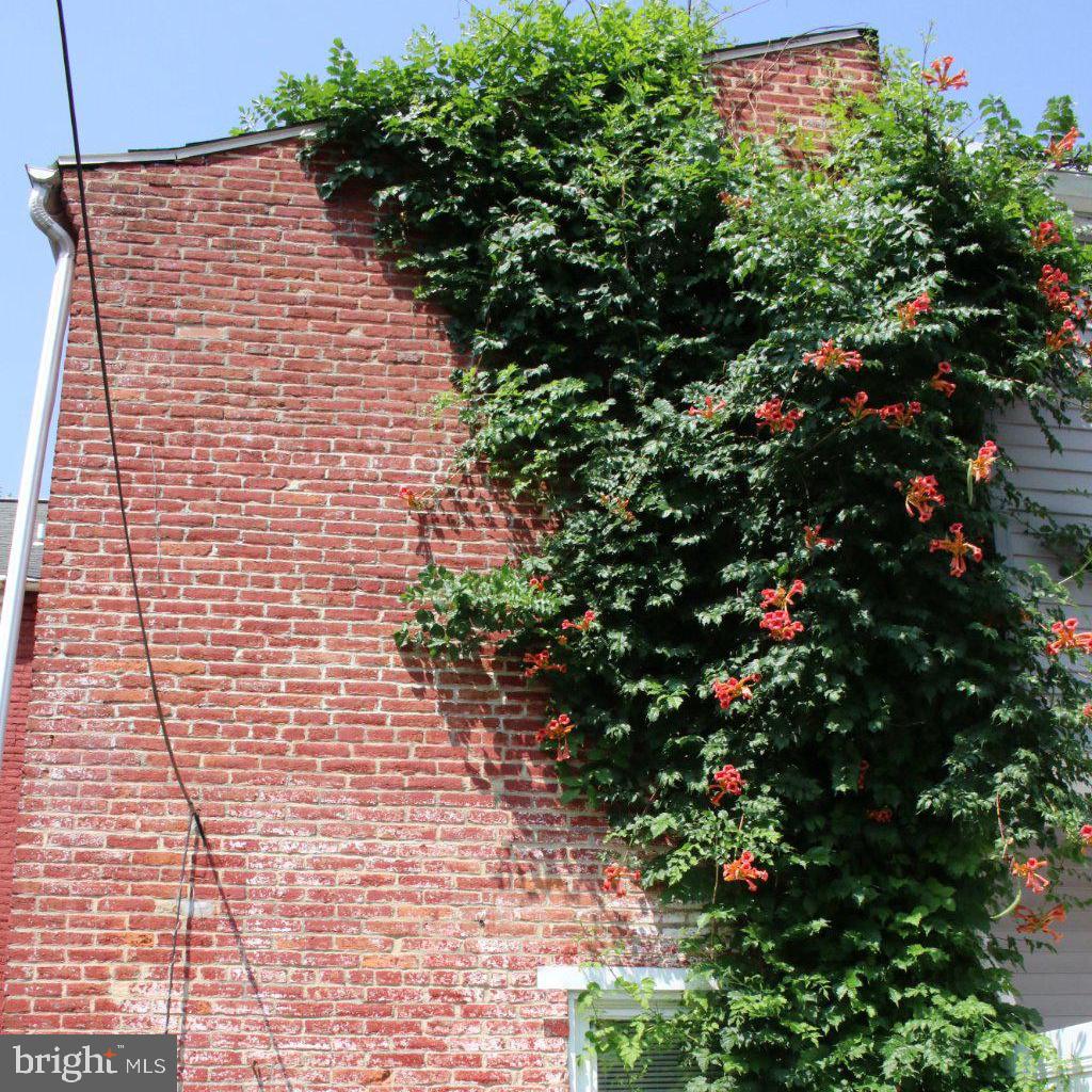 35 N Mulberry St Property Photo 4