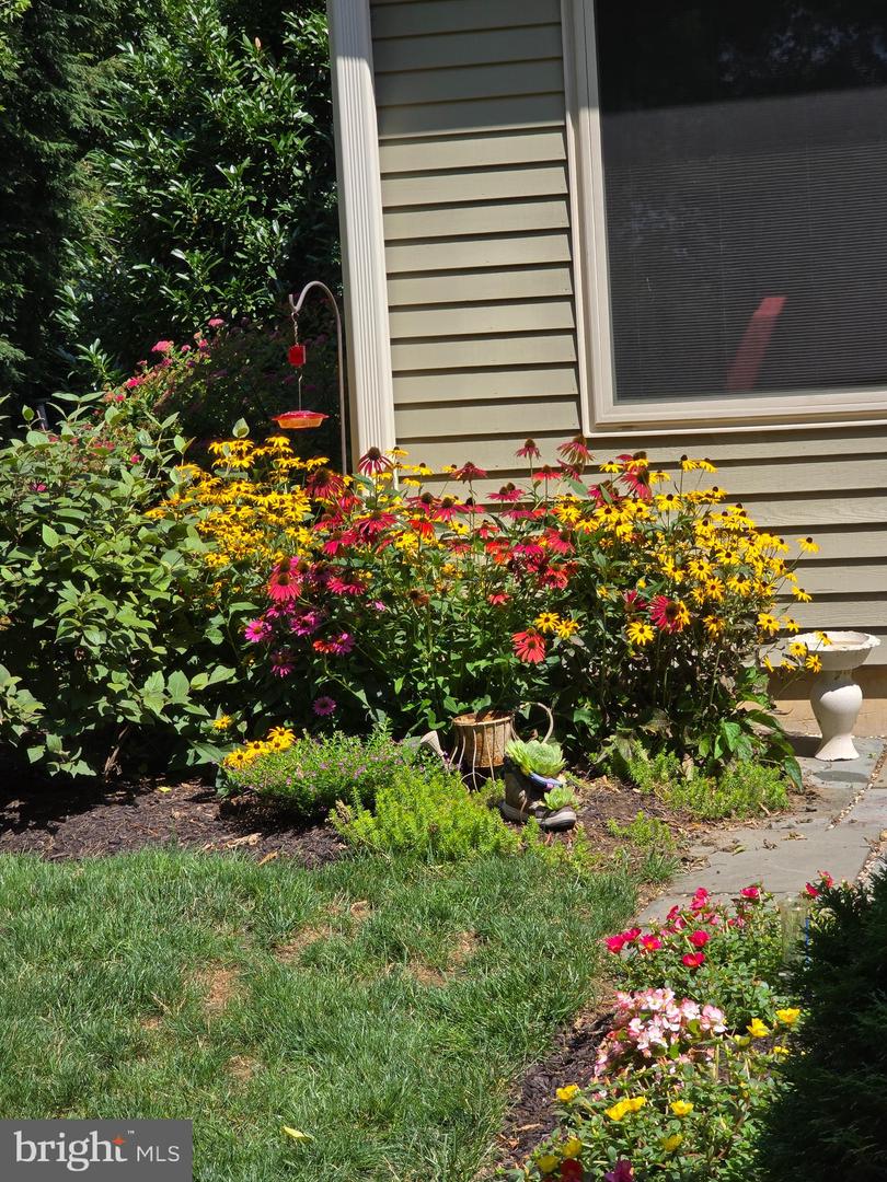 146 Deer Ford Dr Property Photo 39