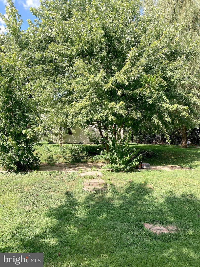 2527 Valley Dr Property Photo 43