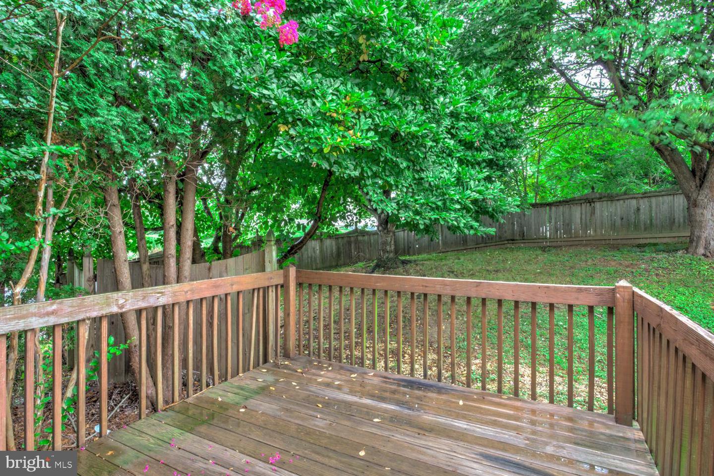 300 Elmshire Dr Property Photo 11