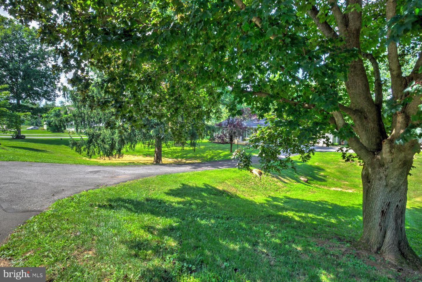 605 Sycamore Dr Property Photo 23