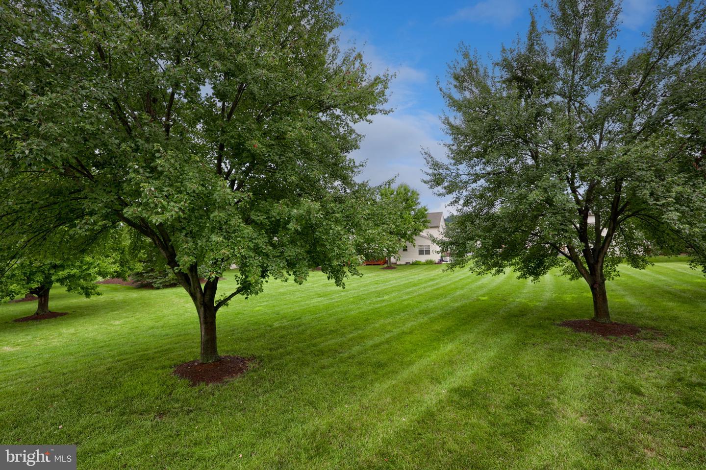 1056 Cobblestone Ln Property Photo 28