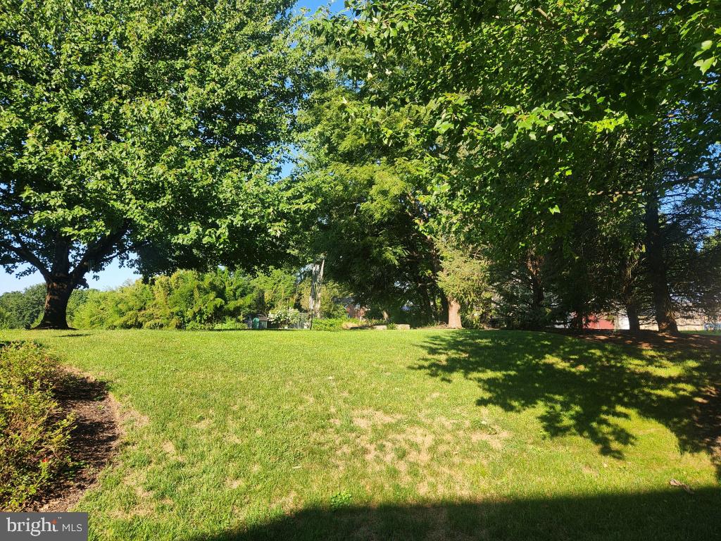 342 N Locust St Property Photo 9