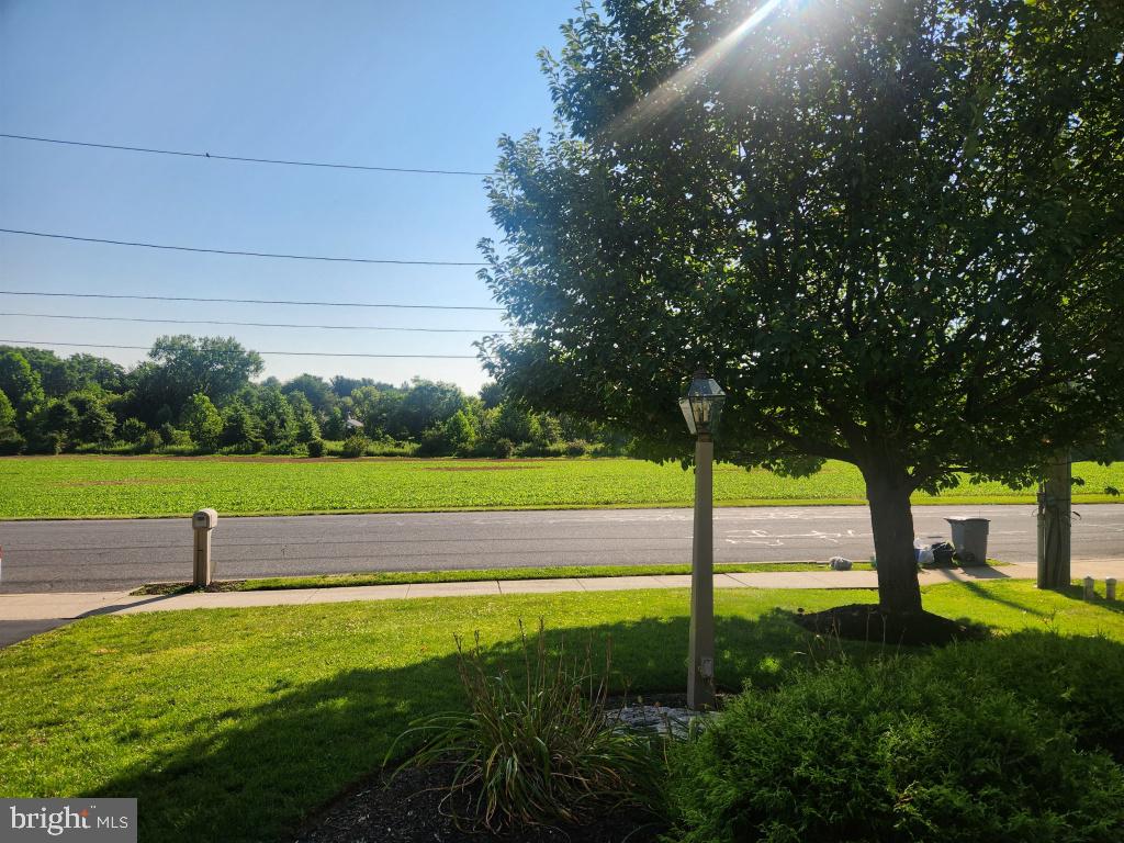 342 N Locust St Property Photo 11