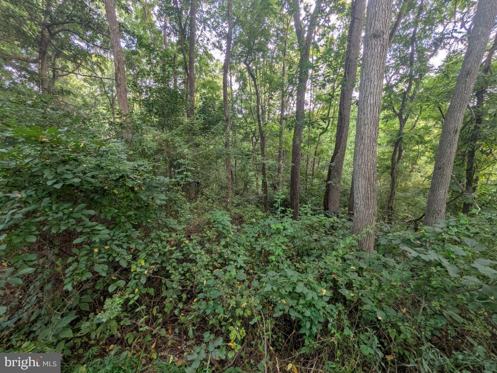 Arcadia Trace Rd Property Photo 8