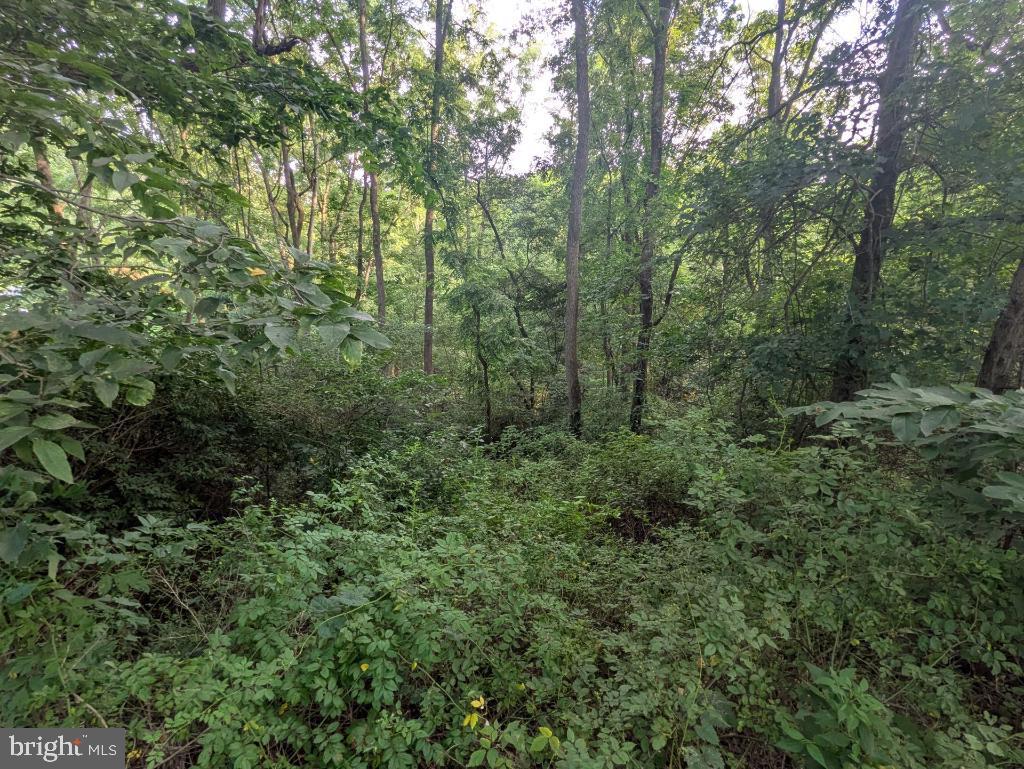 Arcadia Trace Rd Property Photo 9