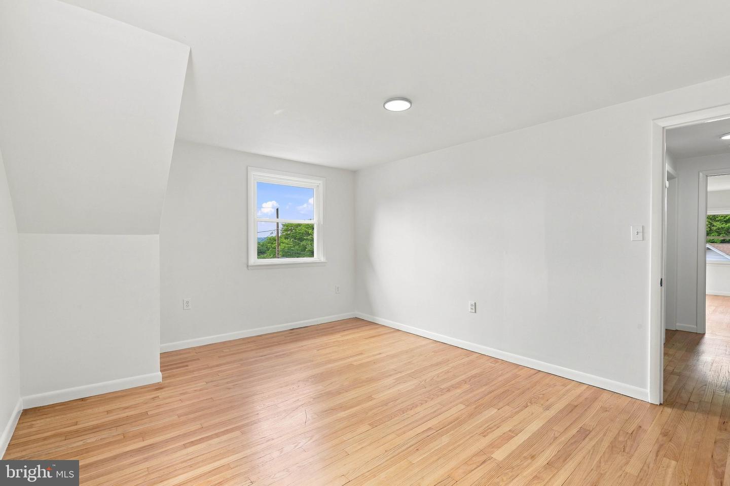 1125 Harriet Ave Property Photo 24
