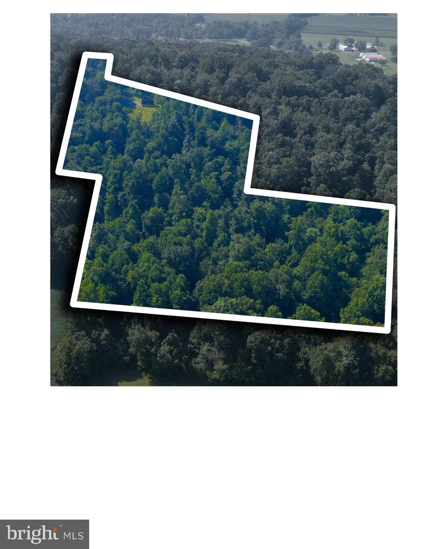0 Hill Rd Property Photo 1