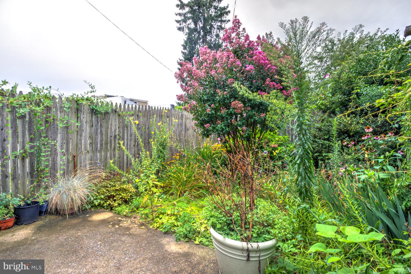 416 N Mary St Property Photo 5