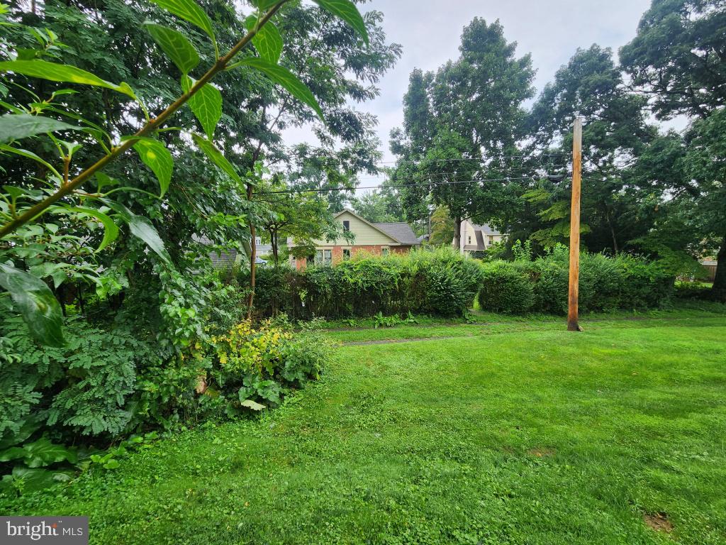 964 Elm Ave Property Photo 7