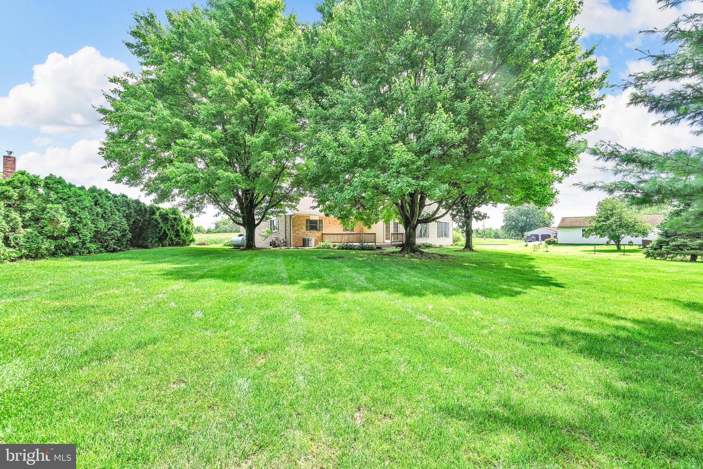 920 Rife Run Rd Property Photo 41