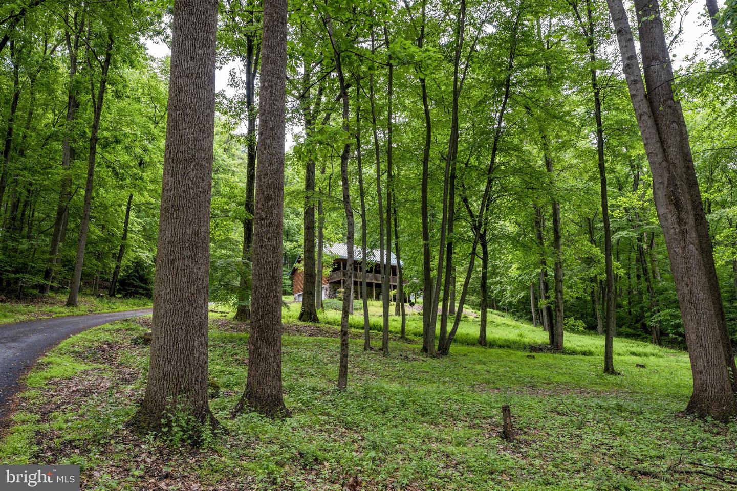 210 Resh Rd Property Photo 3