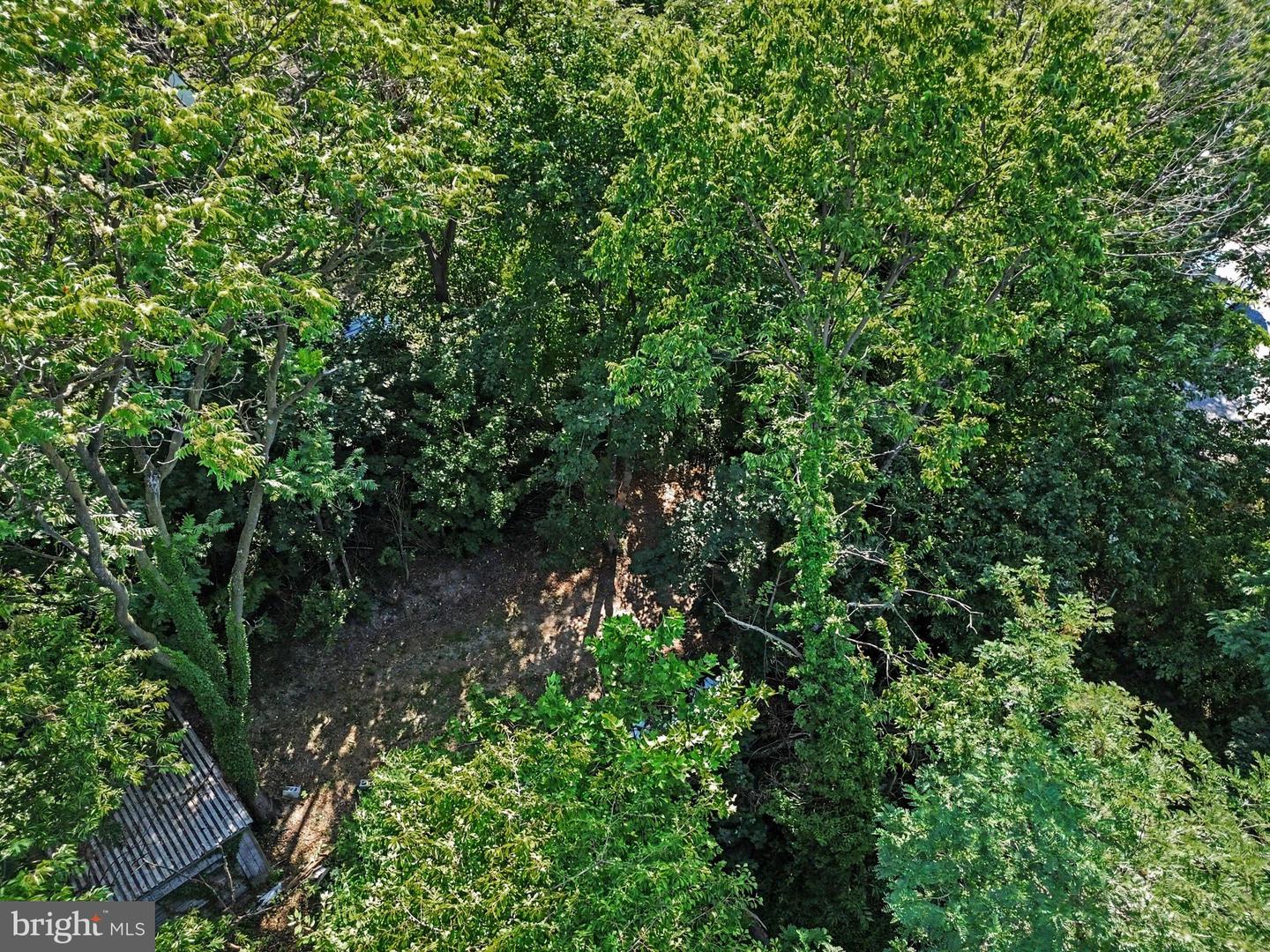 318 Linden St Property Photo 40