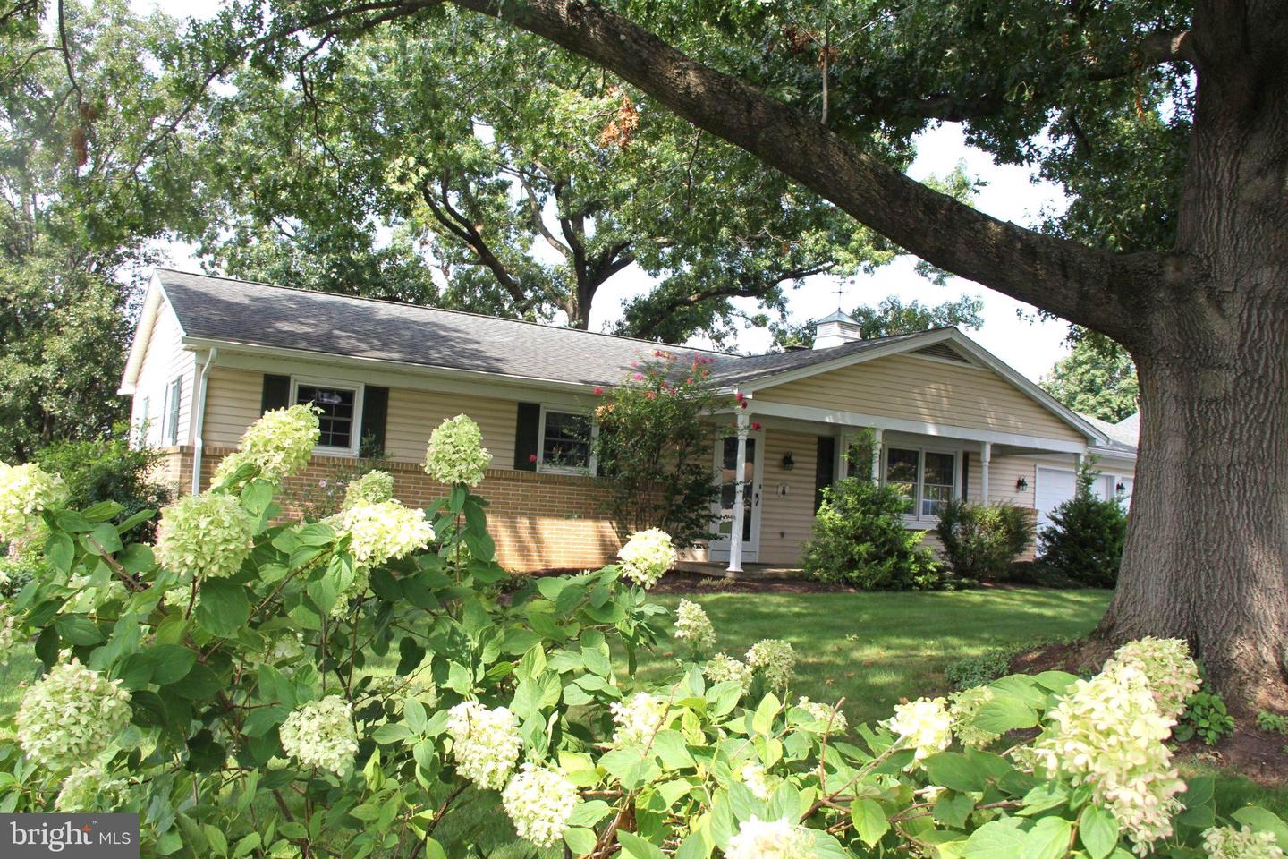 2071 Thoroughbred Ln Property Photo 1
