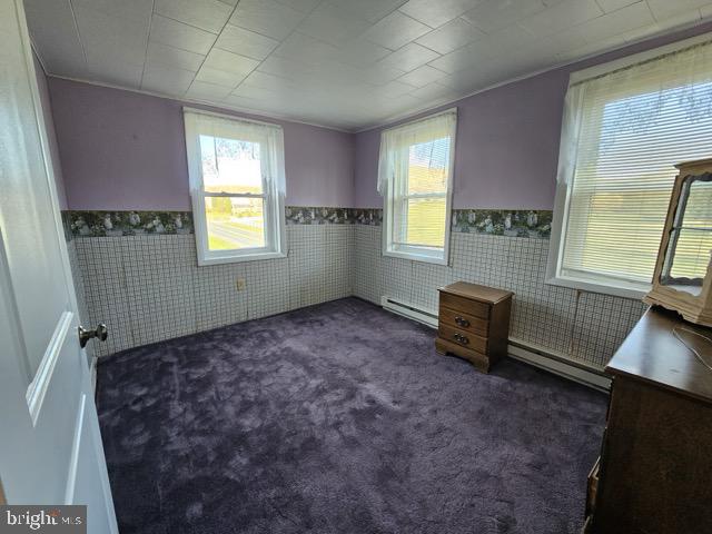 2655 W Route 897 Property Photo 44