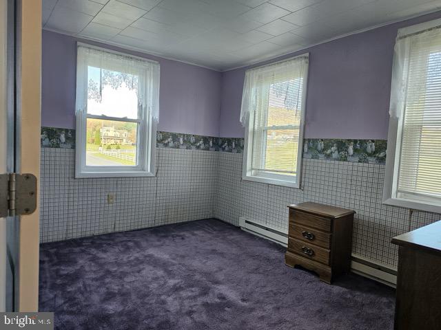 2655 W Route 897 Property Photo 60