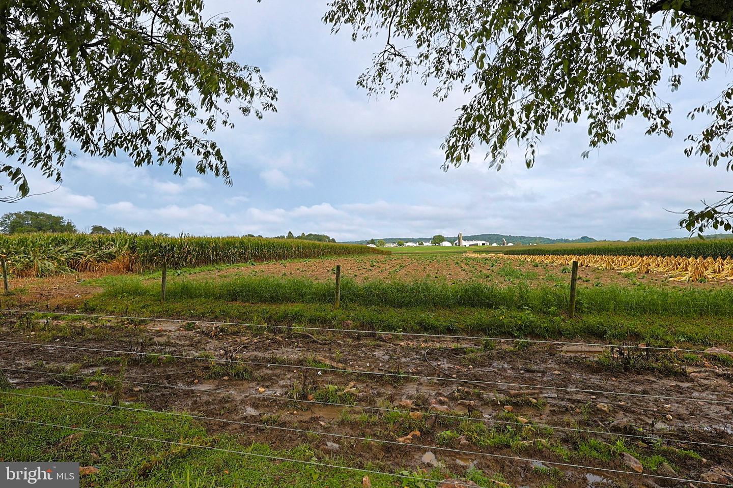 726 Pine Blvd Property Photo 10