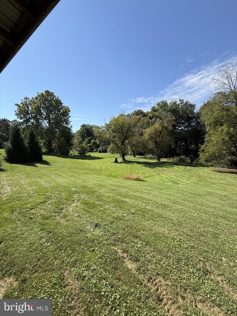 1335 Prospect Rd Property Photo 38
