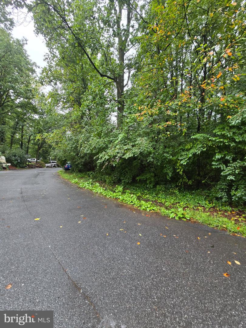 0 Poplar Dr Property Photo 1